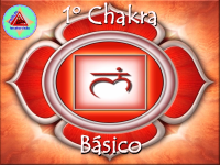 02 - Chakra Básico.pdf